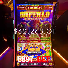 Casino Ao Vivo 8897 Bet